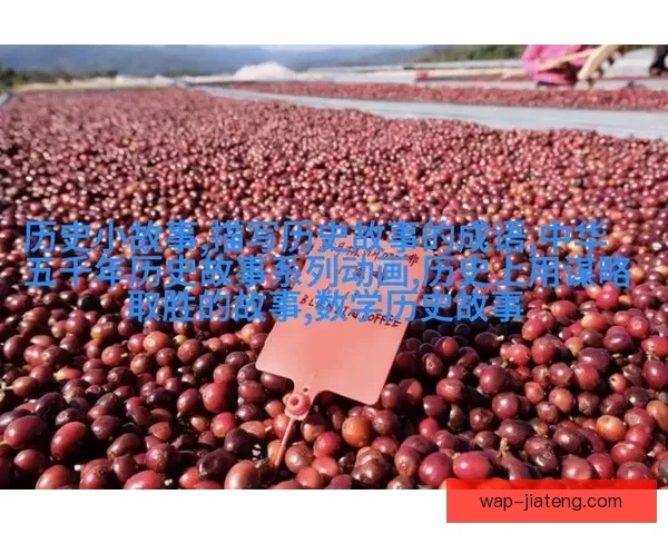 果冻传媒：不止是视觉盛宴，更是情感的触动者